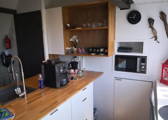 Wittezwaan