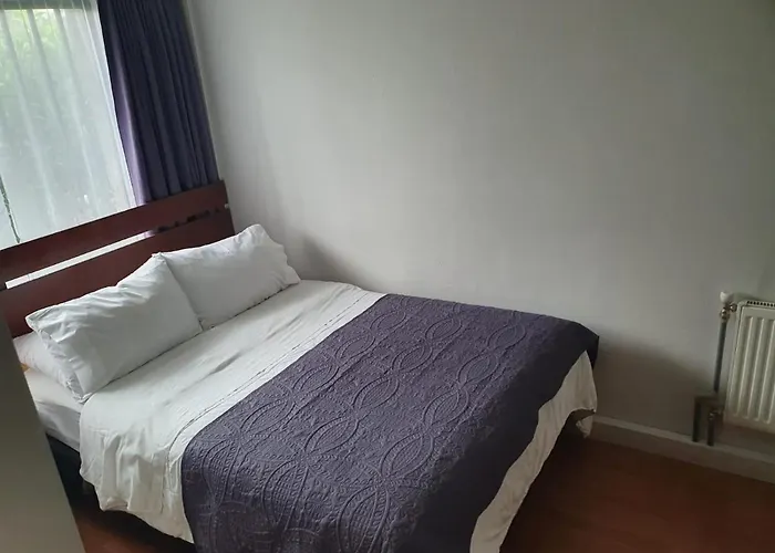 Hostal Del Rio