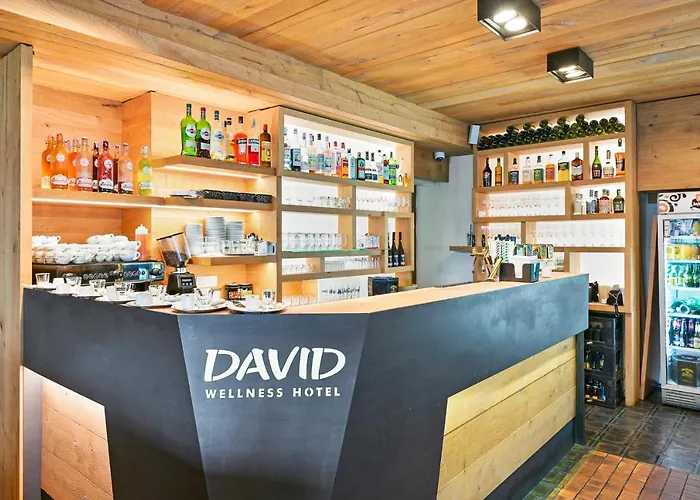 David Wellness Hotel