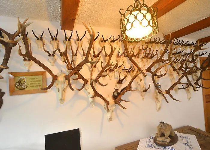 Ferienwohnung Fischerhof