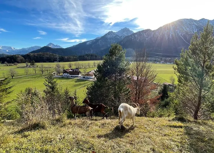 Gutshof zum Schluxen