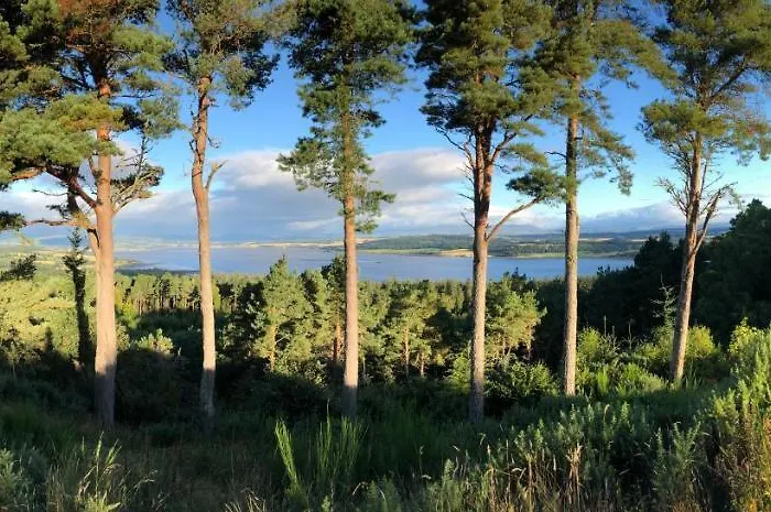 Woodside Cabin