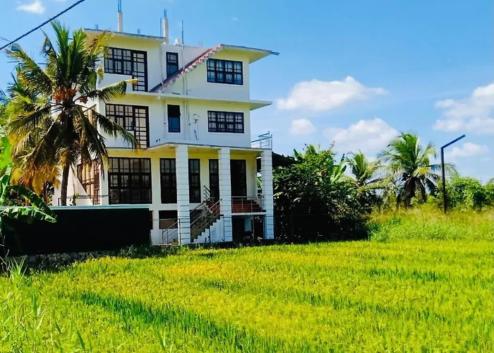 Freedom Of Green Rice View