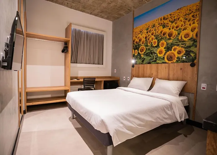 Campos De Holambra Inn