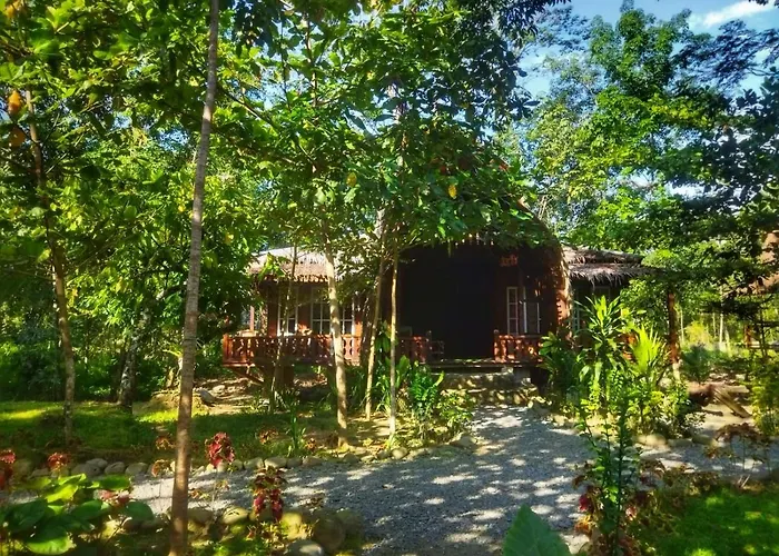 Etalauser Jungle Gate Ecoresort Bukit Lawang