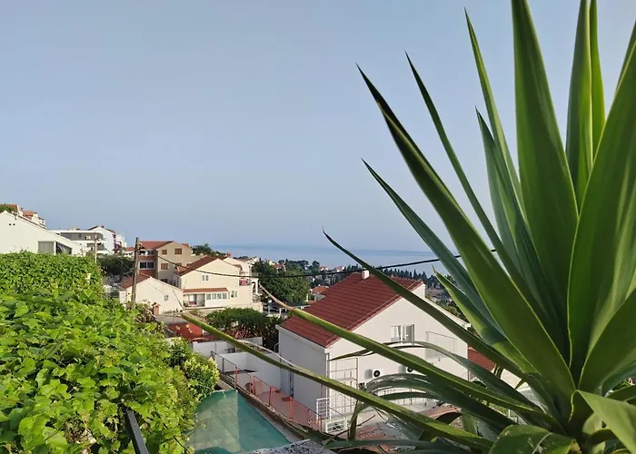 Mediterranean Vista