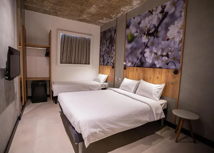 Campos De Holambra Inn