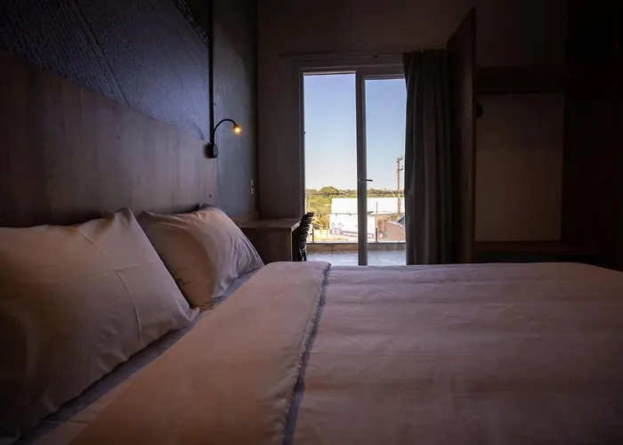 Campos De Holambra Inn