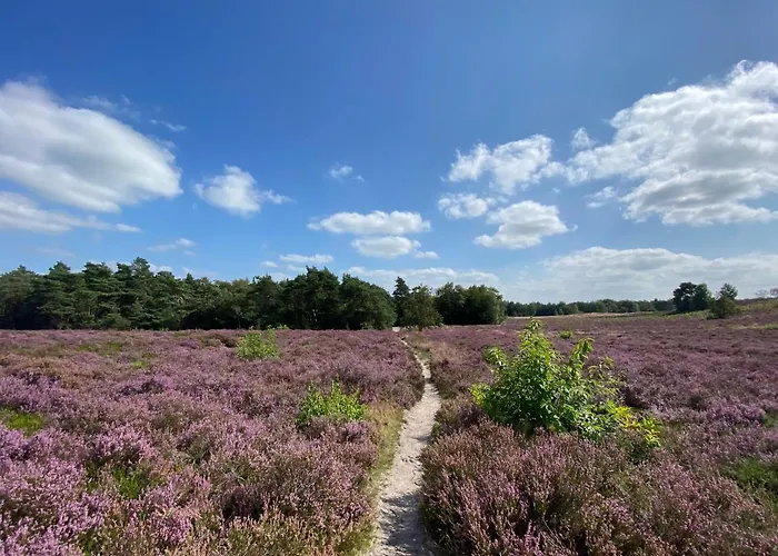La Vita Veluwe