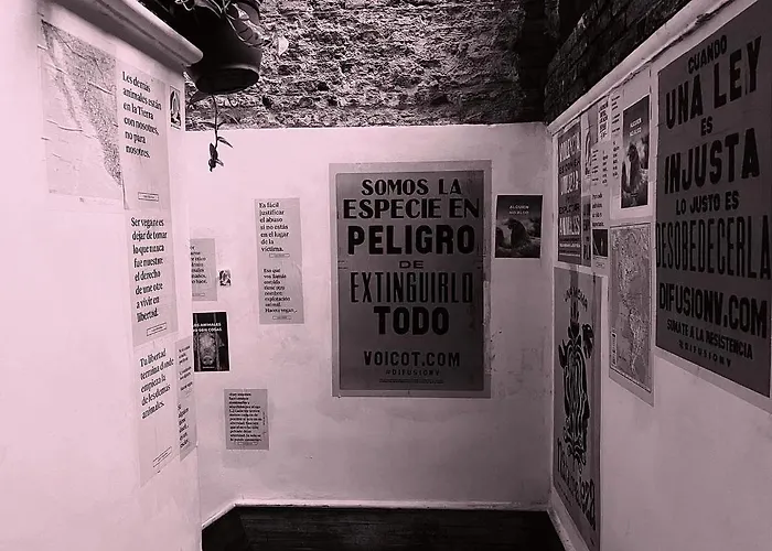 Disidente Hostel