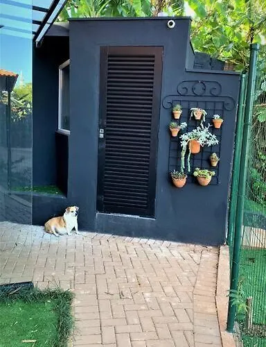 Apto Roma na Vila Paraíso: um cantinho feliz