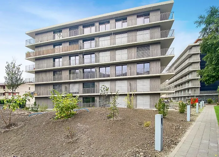 Bright & Modern Apartments In Sion