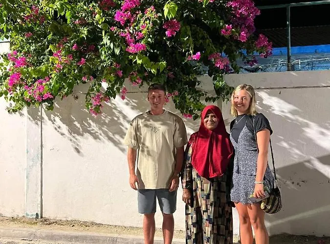 Aanirustayinn