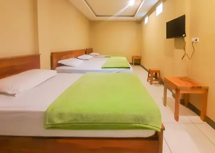 Delvia Bromo Homestay Mitra Reddoorz