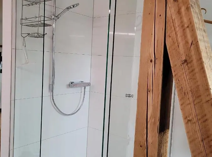Ferienwohnung Dornbirn City
