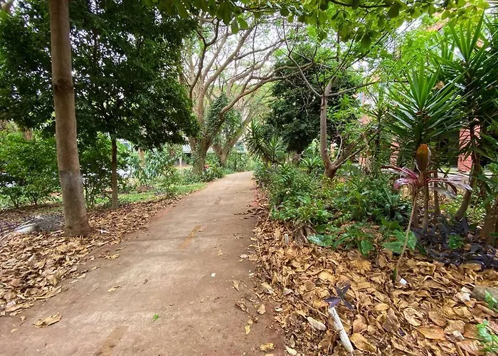 Studio na melhor quadra da Asa Norte