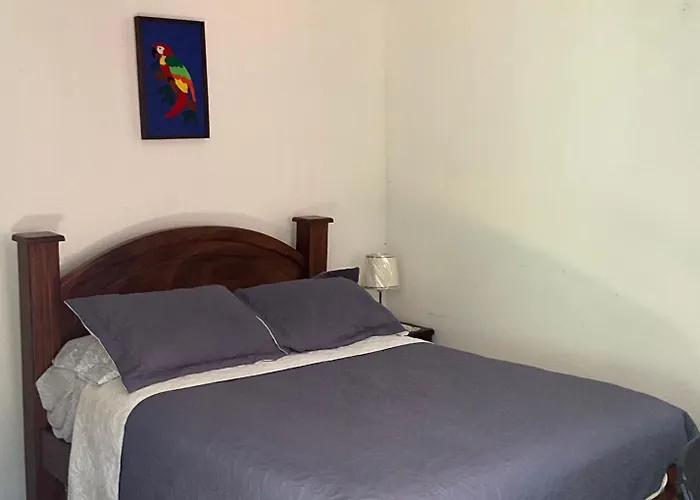 La Casa de Mamá Coyita