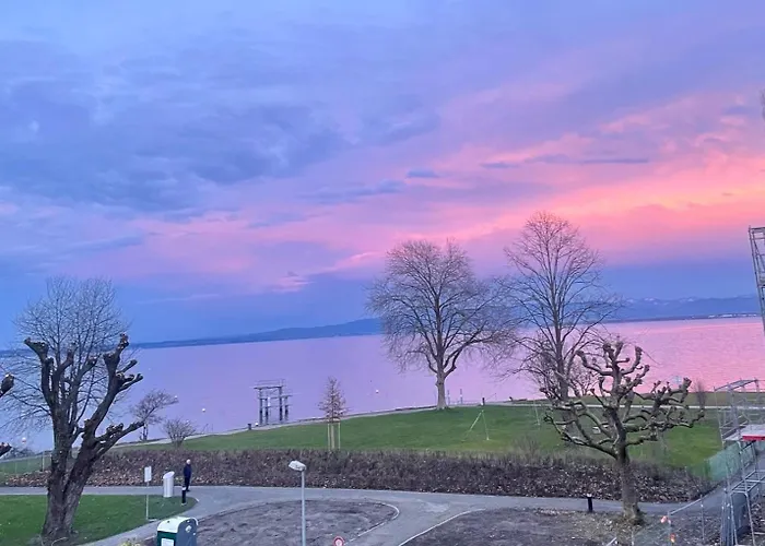 Amazing Lakeview Flat Horn