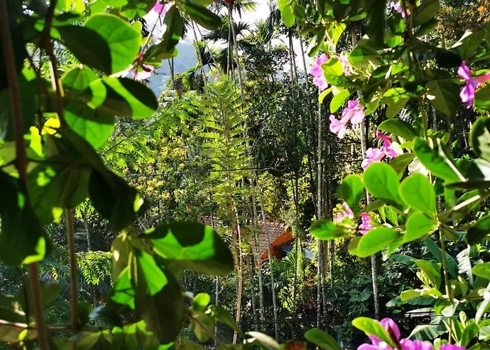 Cozy Homestay Waterfall Road Ella