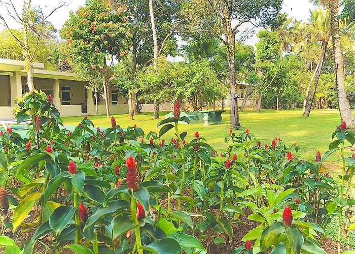 Paradise Garden Beruwala