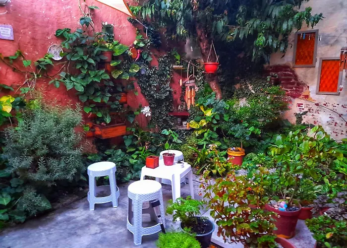 El Patio De La Morocha