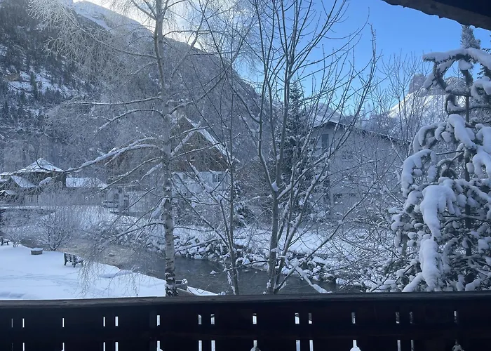 Chalet Hotel Adler AG