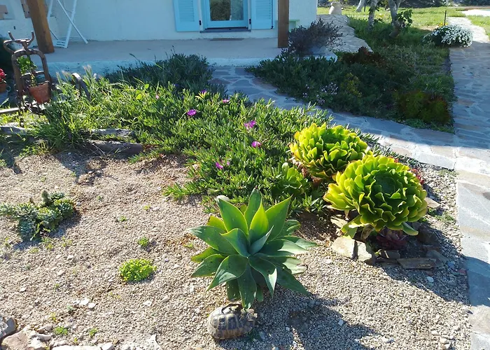 Lispusada Agriturismo Adults Only