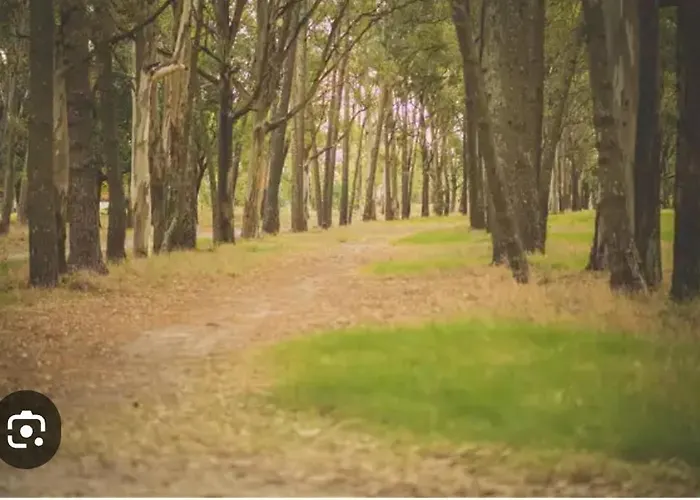 Playa, Bosque Y Lago