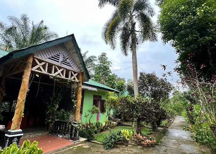 Wisma Batu Mandi And Jungle Trekking