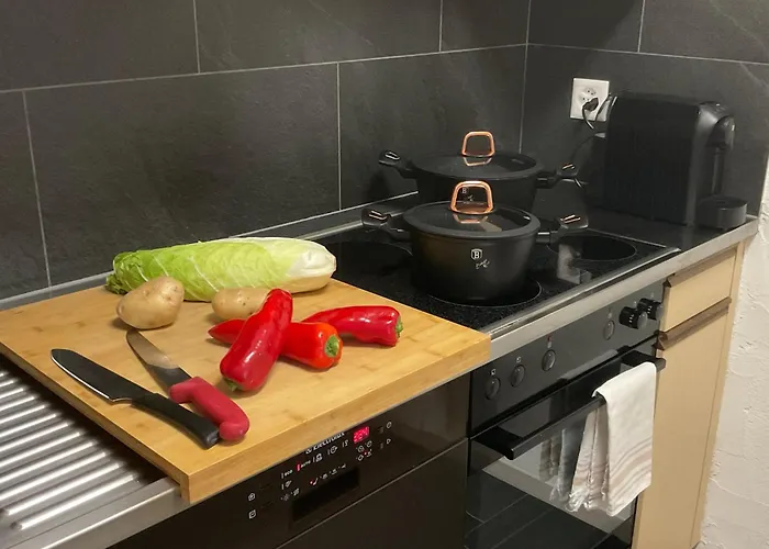 Refugi Blegl - Alpine Apartment in Disentis