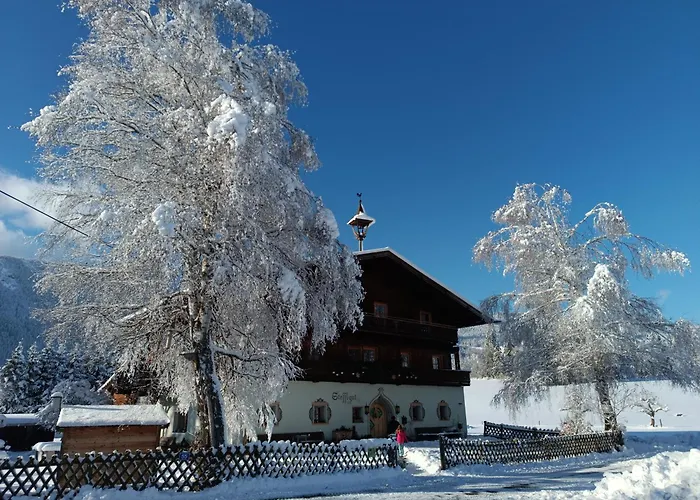 Stefflgut Appartements