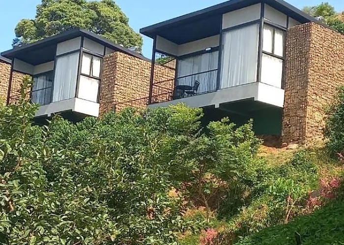Terra de Kurí