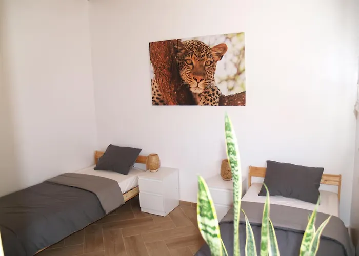 Dar Makai Surf Hotel