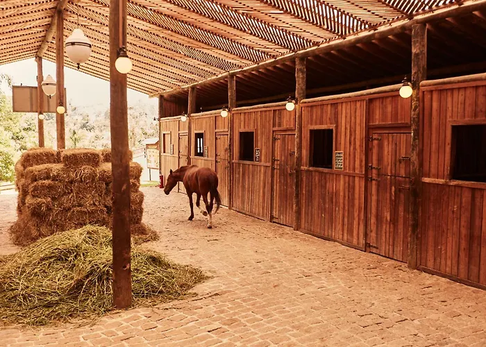 Hotel Fazenda Morros Verdes Ecolodge