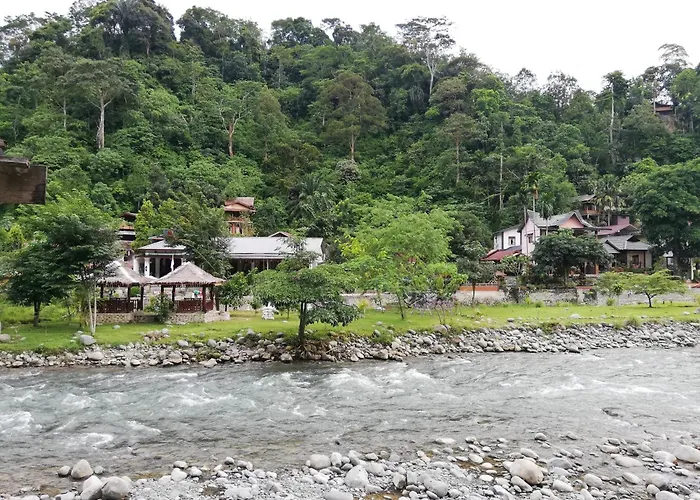 Umiyuki Jungle Tour Only Treking With Us