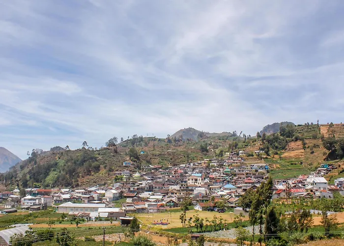 Reddoorz Syariah Near Kawasan Wisata Gunung Prau Dieng