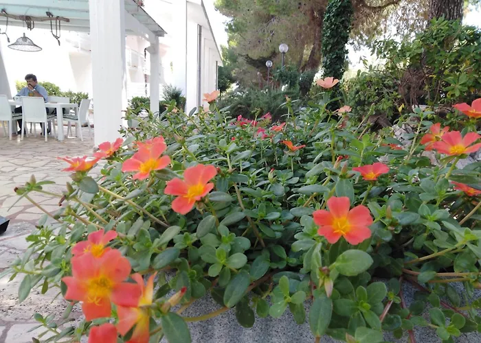 Aparthotel Raggio Di Sole à Alberobello