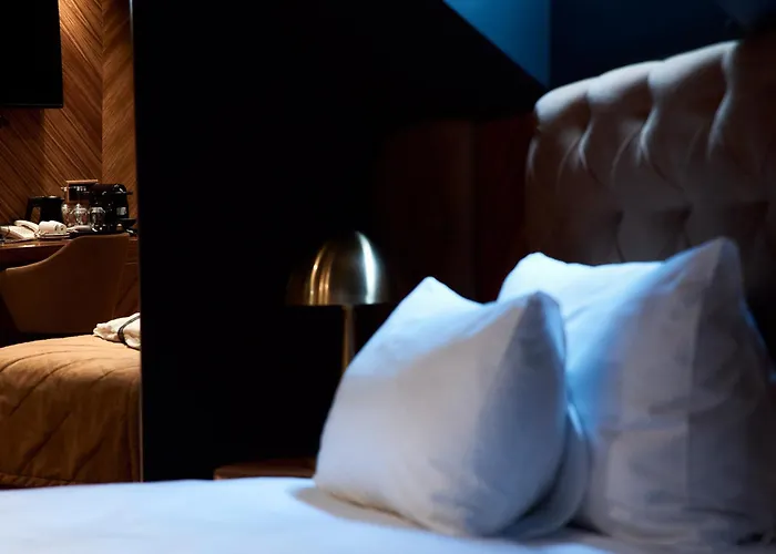 Hotel Viena