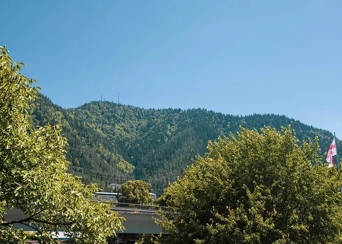 Borjomi Classic Hotel