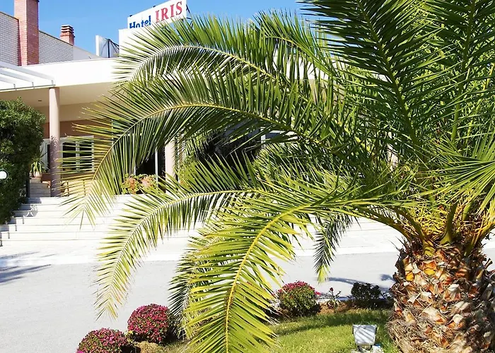 Iris Hotel