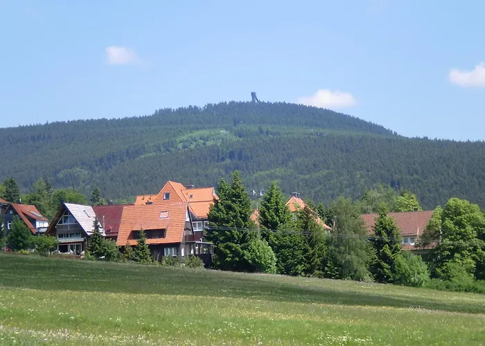 Pension Haus am Wald Braunlage