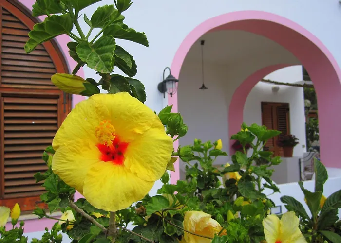 Villa Rosa