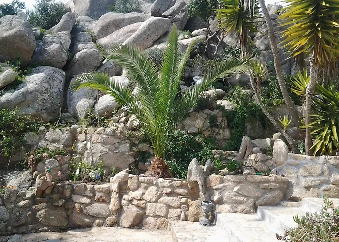 La Fonte Dell'Ulivo 3
