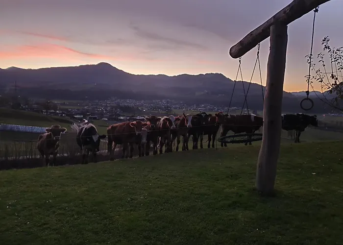 Griesbachhof-Wilder Kaiser