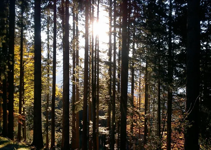 SunAlpin - Ferienwohnungen
