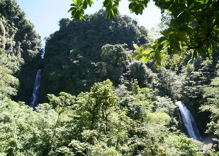 Natty Tropical Valley