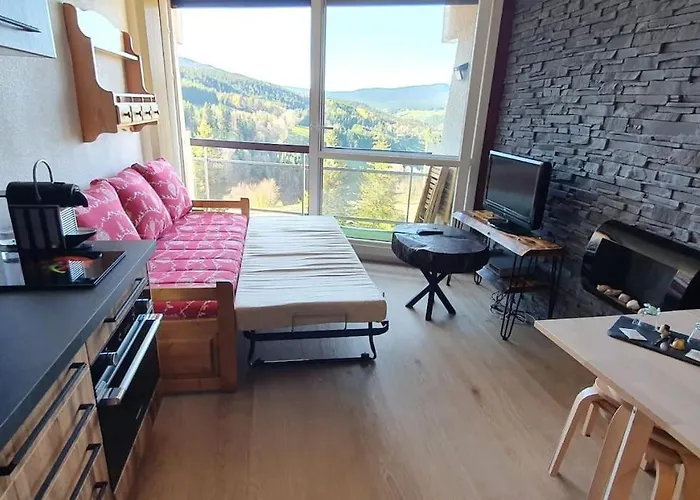 Studio Tout Confort Aux Balcons De Villard De Lans