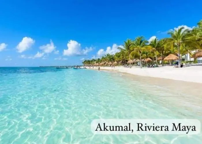 El Ultimo Maya