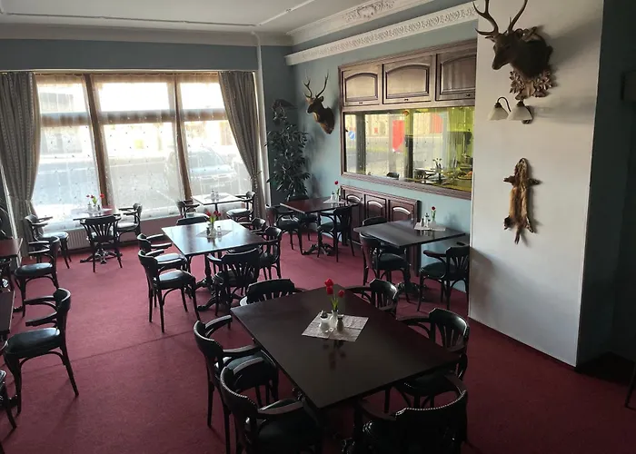 Hotel Cerny Orel Zatec