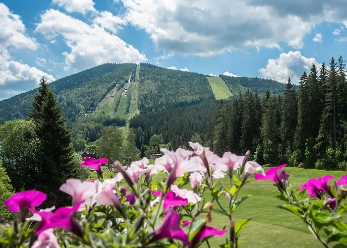 Wellness Hotel Šedý Vlk